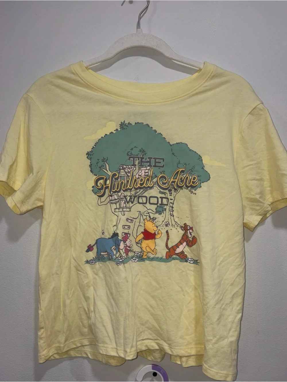 Disney Yellow Winnie-the-Pooh Hundred Acre Wood Pajama Set